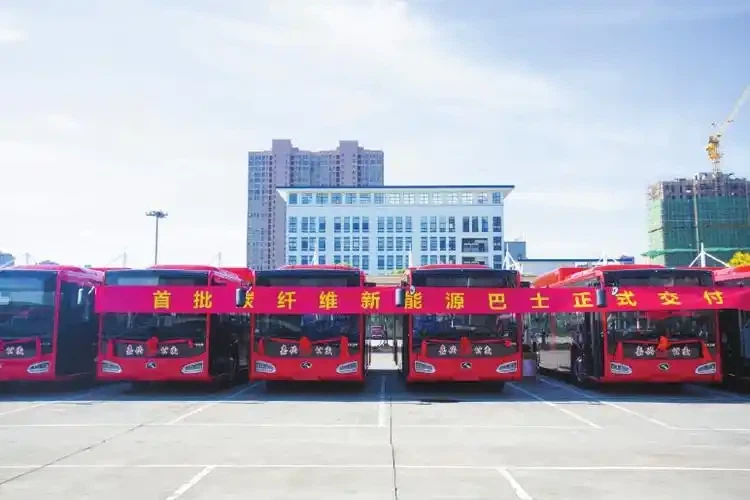 Millised on kuldsed draakoni süsinikkiust bussid